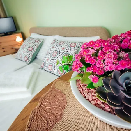 Balaton Retro Gem Apartment